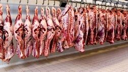 استمرار در واردات و عرضه گوشت با قیمت مصوب