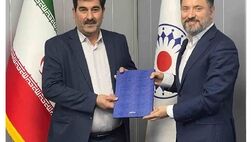 
معاون مالی، پشتیبانی و منابع انسانی بیمه تعاون منصوب شد