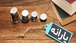 پرداخت وام ۵۰ میلیون تومانی با کارت یارانه تکذیب شد