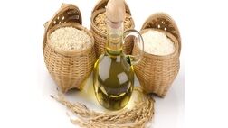 برنج و روغن دوباره مشمول ارز ترجیحی شد