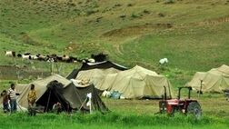 عضویت در صندوق بیمه دام برای عشایری اجباری شد