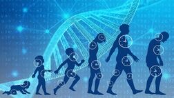 ۴ روش ساده برای افزایش طول عمر و سلامتی بدن