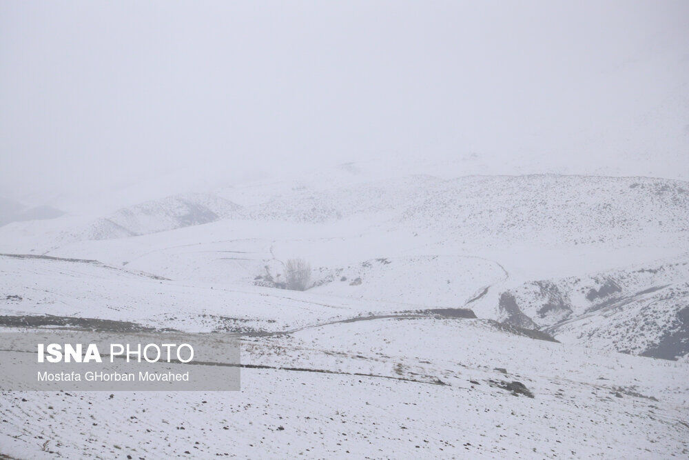 برف بهاری در اهر (5)