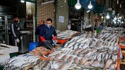 ۵۰ هزار تن انواع آبزی از ایران صادر شده است
