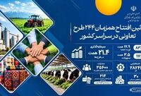 افتتاح ۲۴۴ طرح تعاونی در هفته تعاون ۱۴۰۵/ ایجاد بیش از ۲۸ هزار فرصت شغلی