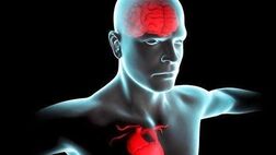 مشکلات قلبی ریسک زوال عقل را سه برابر افزایش می دهد