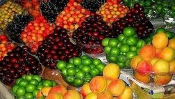 توزیع روزانه ۱۵۰۰ تن میوه های نوبرانه در میدان