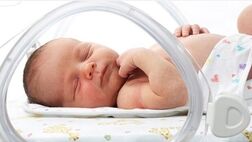نوزادان نیز کارت ملی می‌گیرند