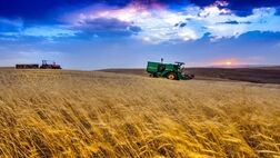 ضرورت واردات ۵ میلیون تن گندم کسری کشور
