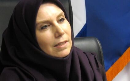 شرکت‌های بیمه با حجم زیادی از تجمع ریسک روبرو هستند