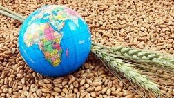 قیمت کالاهای جهانی هر روز بالاتر می رود