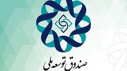 وصول ۵.۵ میلیارد دلار از مطالبات صندوق توسعه ملی