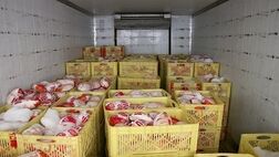 صادرات مرغ تا پایان سال به ۳۰۰ هزارتن می‌رسد