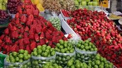 بازار میوه و صیفی در آرامش به سر می‌برد

